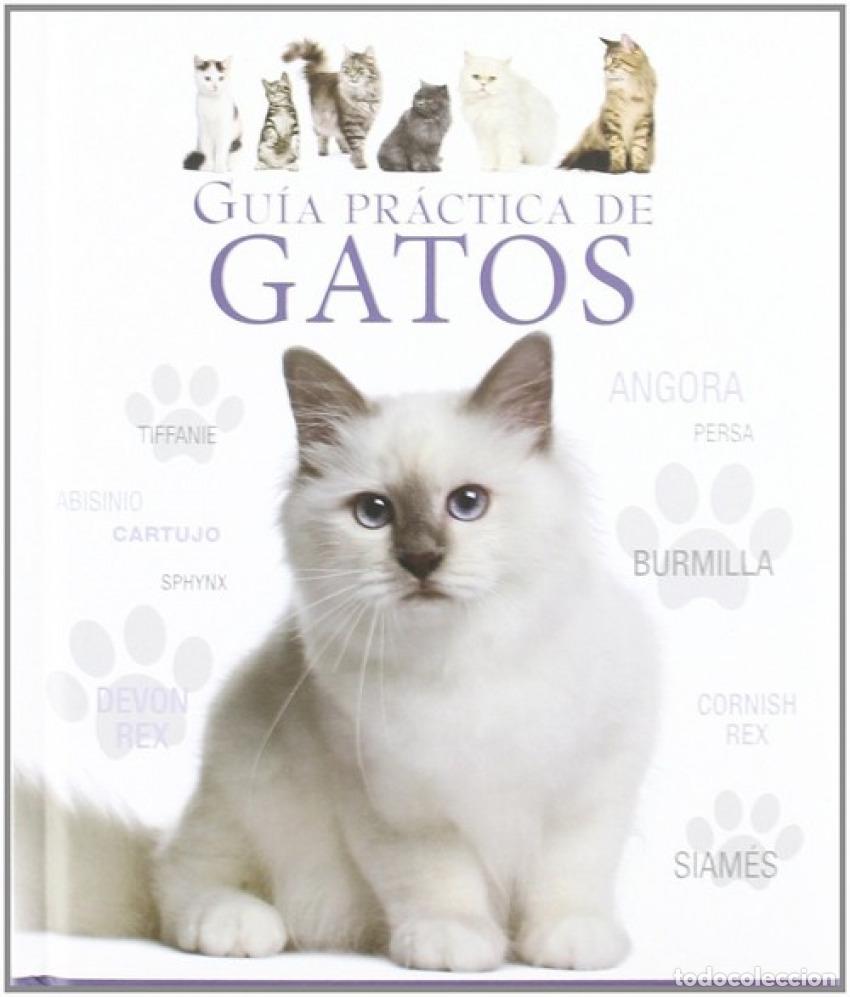 Libri: GU&Iacute;A PR&Aacute;CTICA DE GATOS - Davidson, Catherine