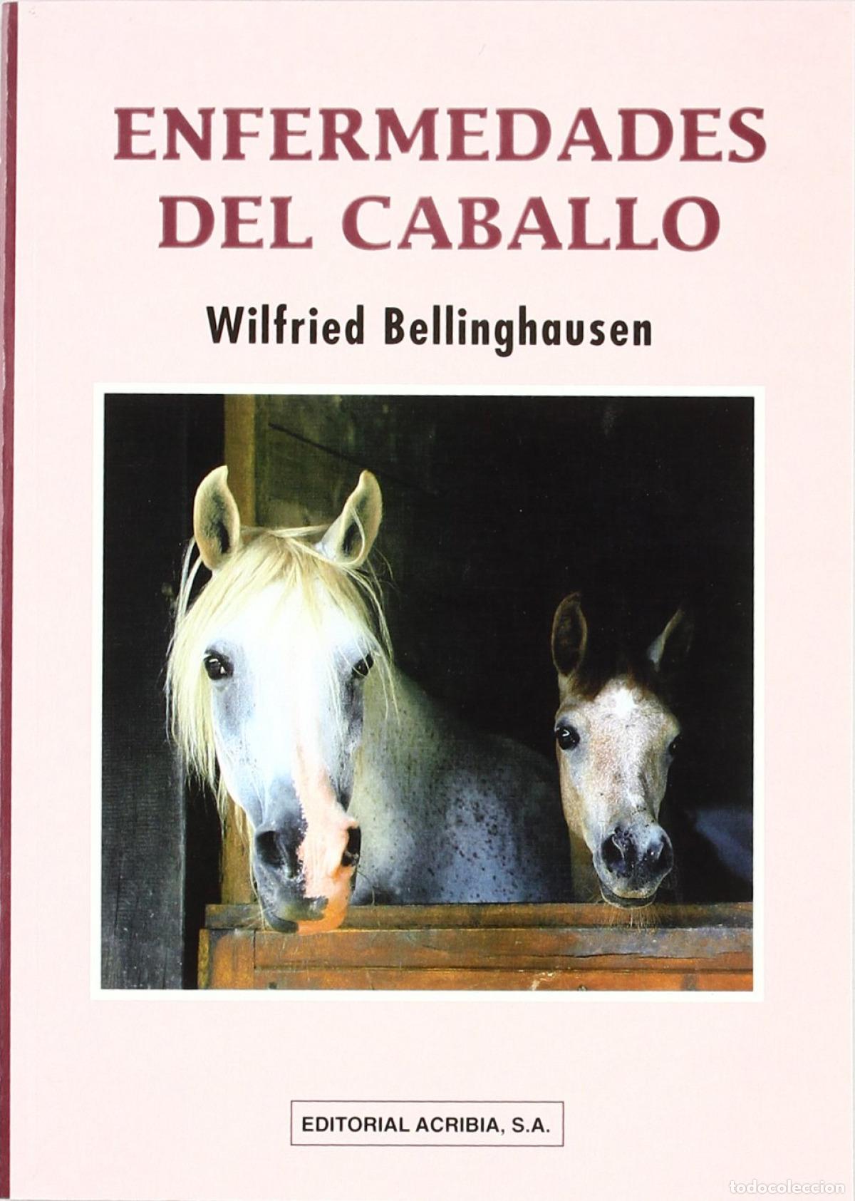 Libri: ENFERMEDADES DEL CABALLO - Bellinghausen, W