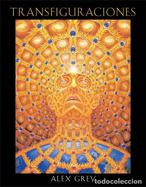 Libros: TRANSFIGURACIONES - .