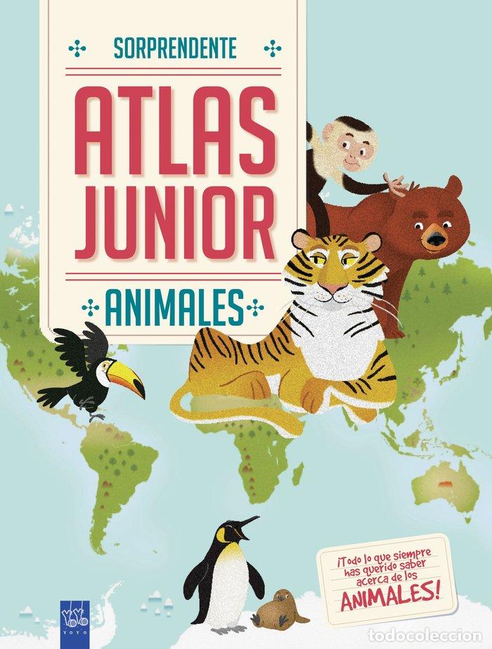 books: ANIMALES - YOYO.....