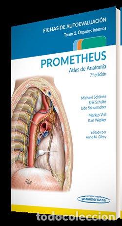 Livros: PROMETHEUS ATLAS DE ANATOMIA FICHAS DE AUTOEVALUACION - AA.VV