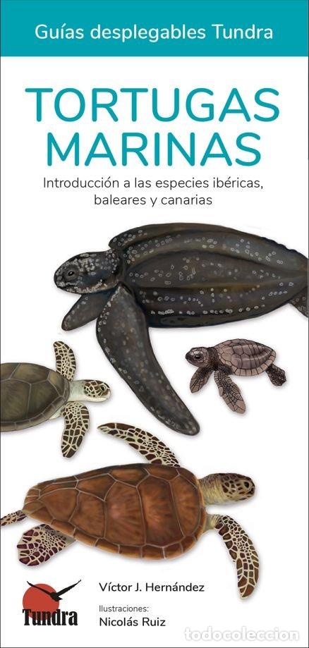 Libri: TORTUGAS MARINAS - AA.VV