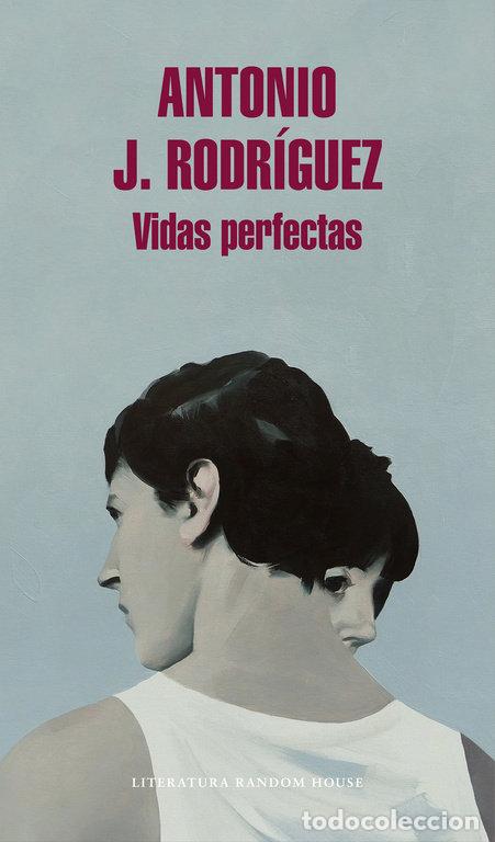 Livres: VIDAS PERFECTAS - RODRIGUEZ, ANTONIO J