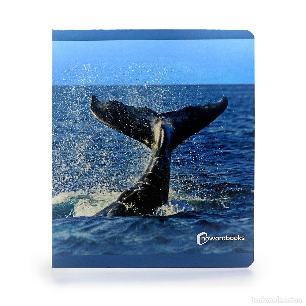 B&uuml;cher: ANIMALES DEL MAR - .
