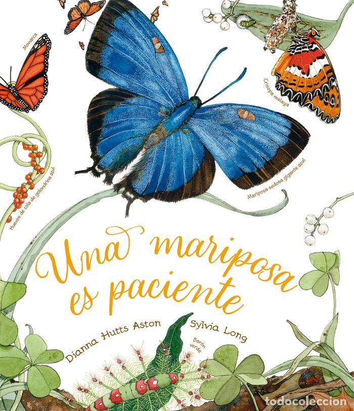 books: UNA MARIPOSA ES PACIENTE - HUTTS ASTON, DIANNA