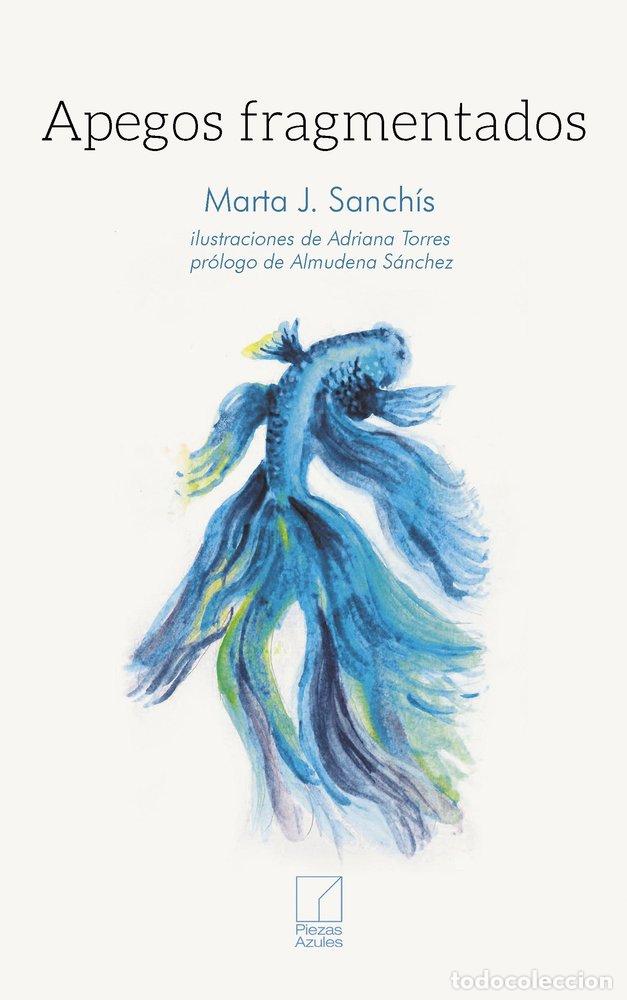 Libros: APEGOS FRAGMENTADOS - J SANCHIS, MARTA