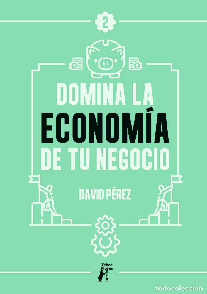 books: DOMINA LA ECONOMIA DE TU NEGOCIO - DAVID PEREZ