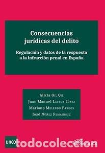 B&uuml;cher: CONSECUENCIAS JURIDICAS DEL DELITO - GIL GIL, ALICIA