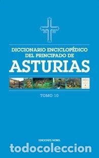 Libri: DICCIONARIO ENCICLOPEDICO DEL PRINCIPADO DE ASTURIAS (TOMO 1 - MARTIN GAITE, CARMEN