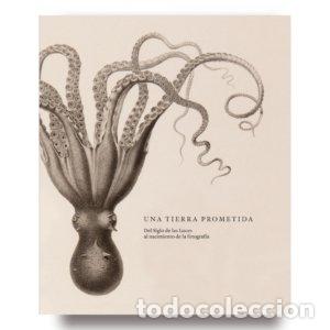 books: UNA TIERRA PROMETIDA - MIGUELIZ, IGNACIO