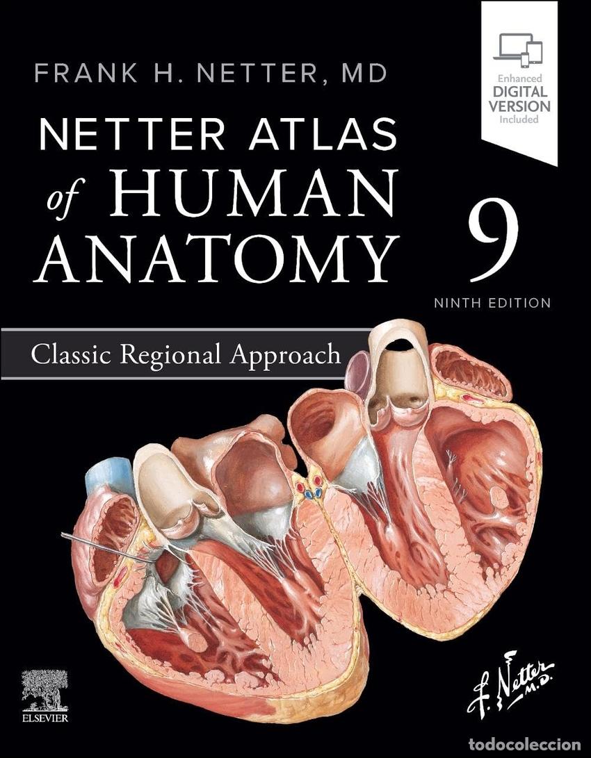 Livros: NETTER ATLAS OF HUMAN ANATOMY:CLASSIC REGIONAL APPROACH/9TH - Netter