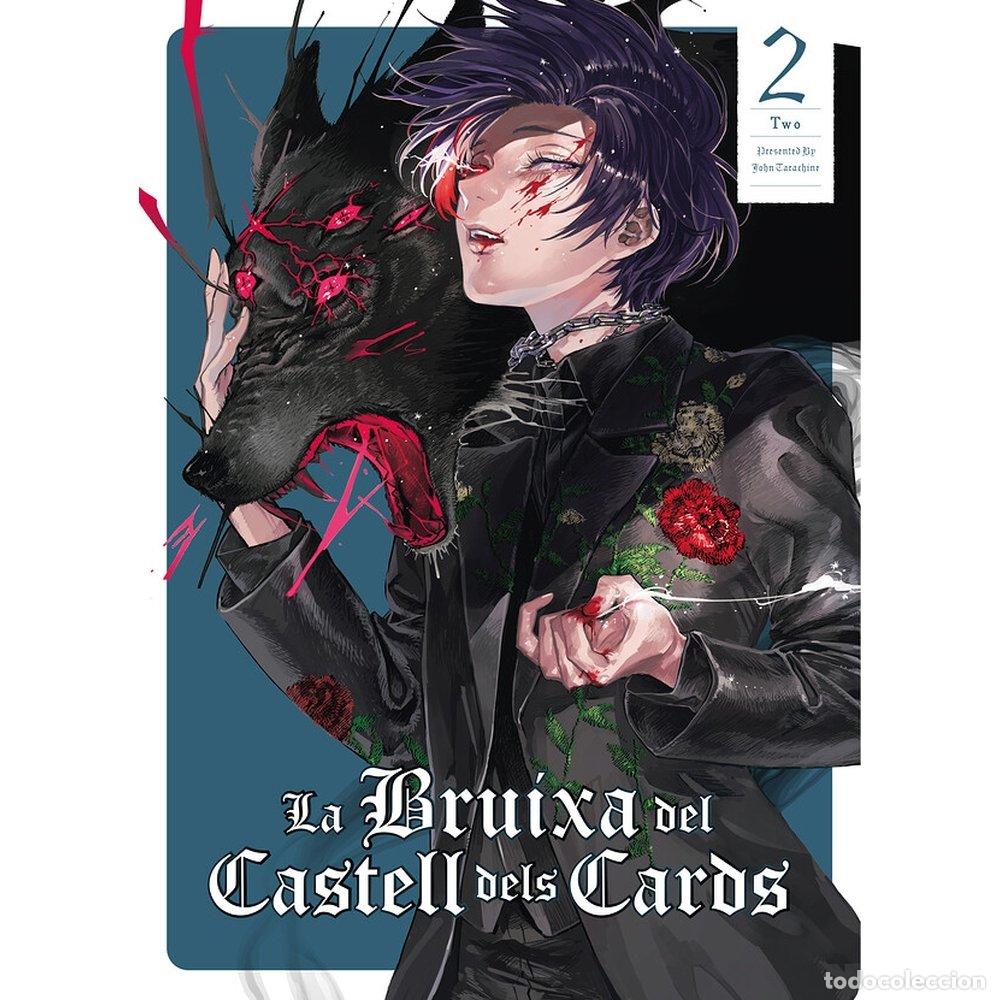 Livres: LA BRUIXA DEL CASTELL DELS CARDS 2 - JOHN TARACHINE