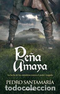 Livros: PE&Ntilde;A AMAYA - SANTAMARIA FERNANDEZ, PEDRO