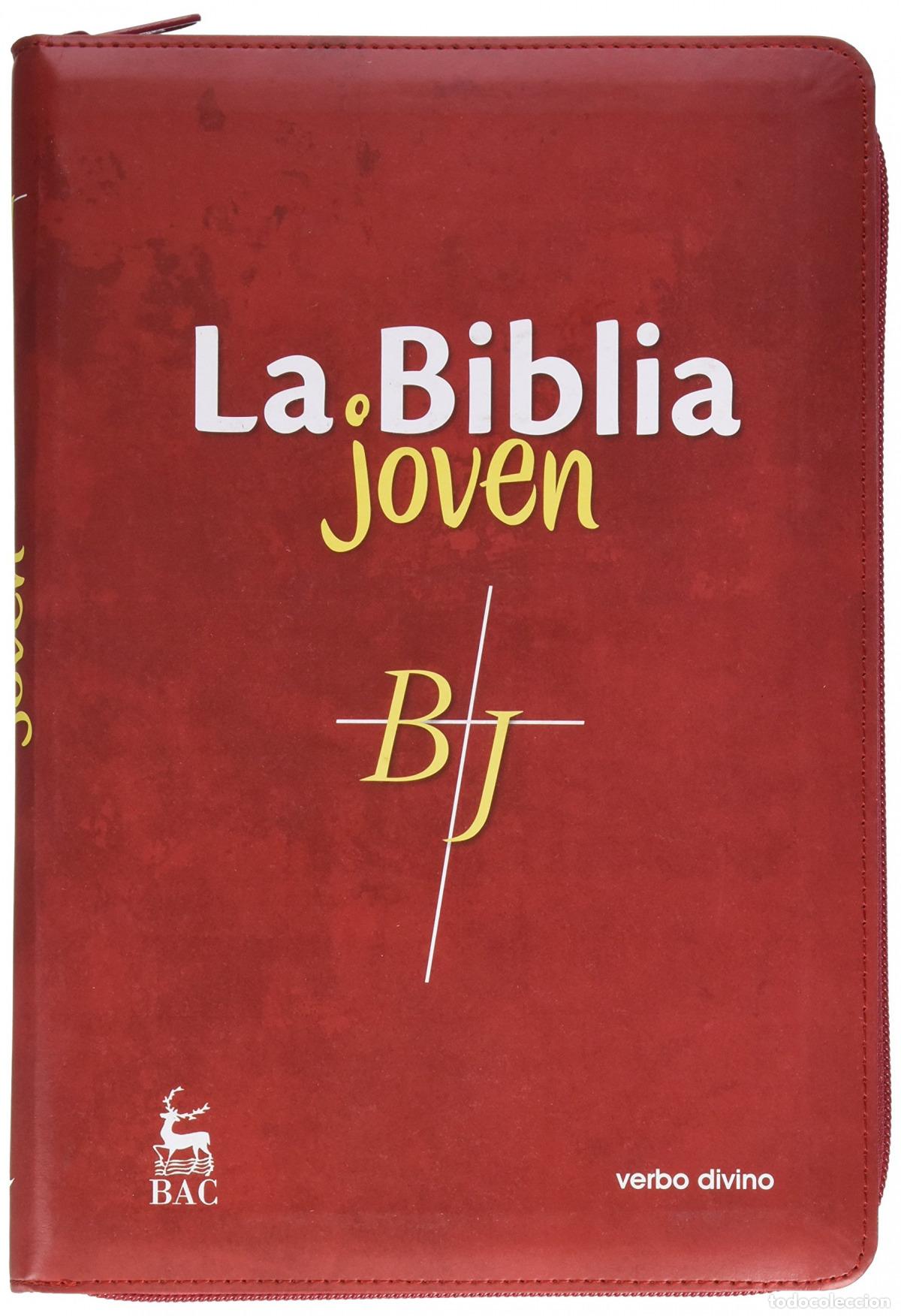 Libros: LA BIBLIA JOVEN - Varios autores