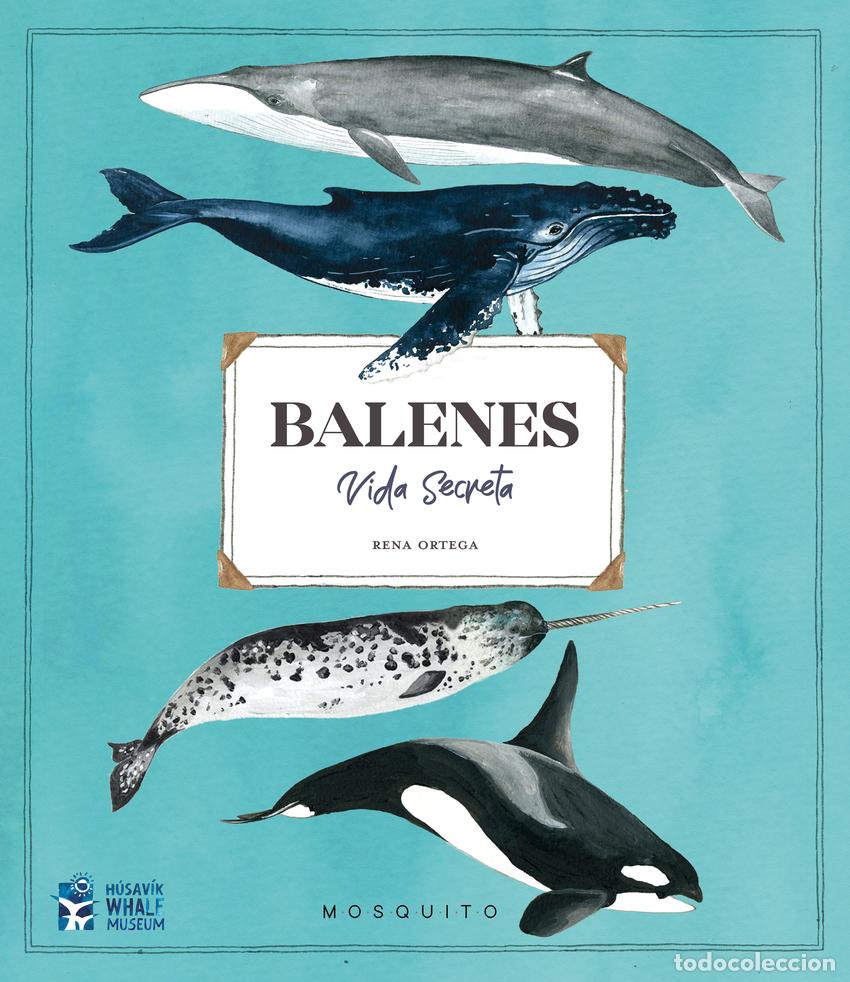 Livros: BALENES. VIDA SECRETA - ORTEGA, RENA