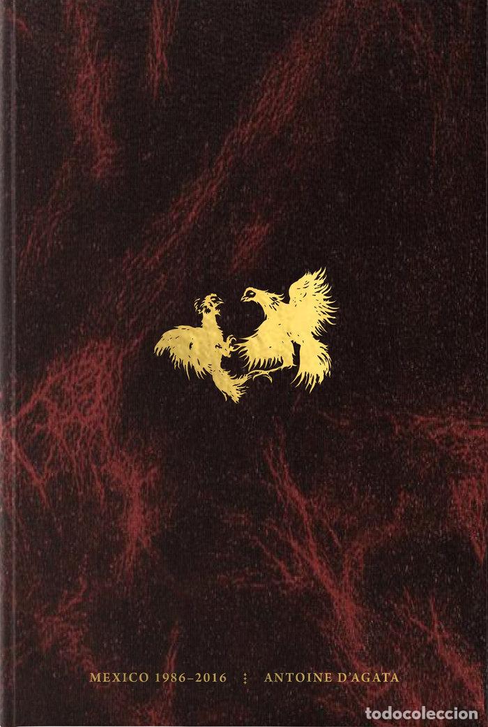 Livres: CODEX - DAGATA, ANTOINE
