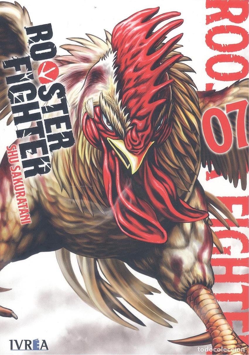 Libros: ROOSTER FIGHTER 07 - SHU SAKURATANI