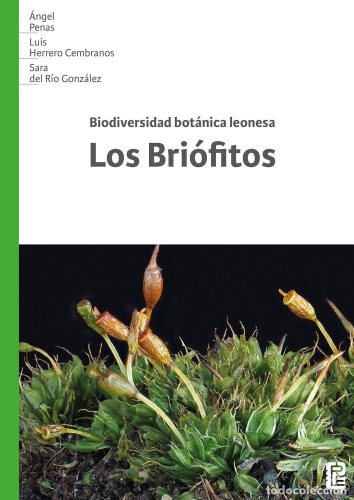 Livres: BIODIVERSIDAD BOTANICA LEONESA LOS BRIOFITOS - PENAS, ANGEL
