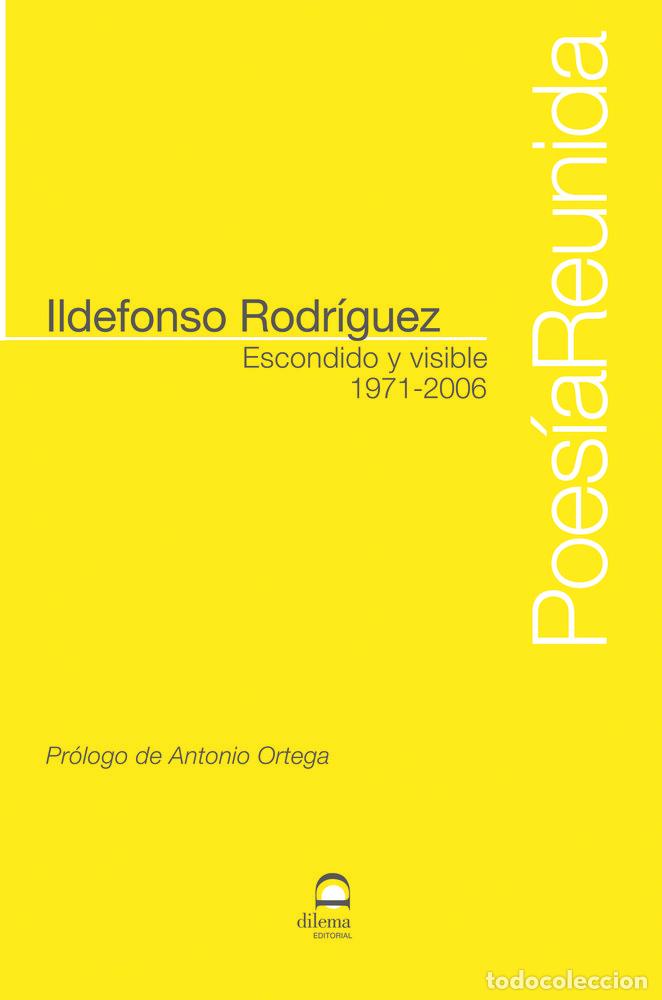 Livros: ESCONDIDO Y VISIBLE - RODRIGUEZ, ILDEFONSO