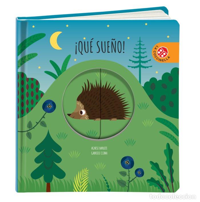 Livres: QUE SUE&Ntilde;O - CLIMA, GABRIELE