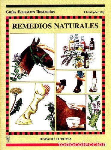 books: REMEDIOS NATURALES - DAY, CHRISTOPHER