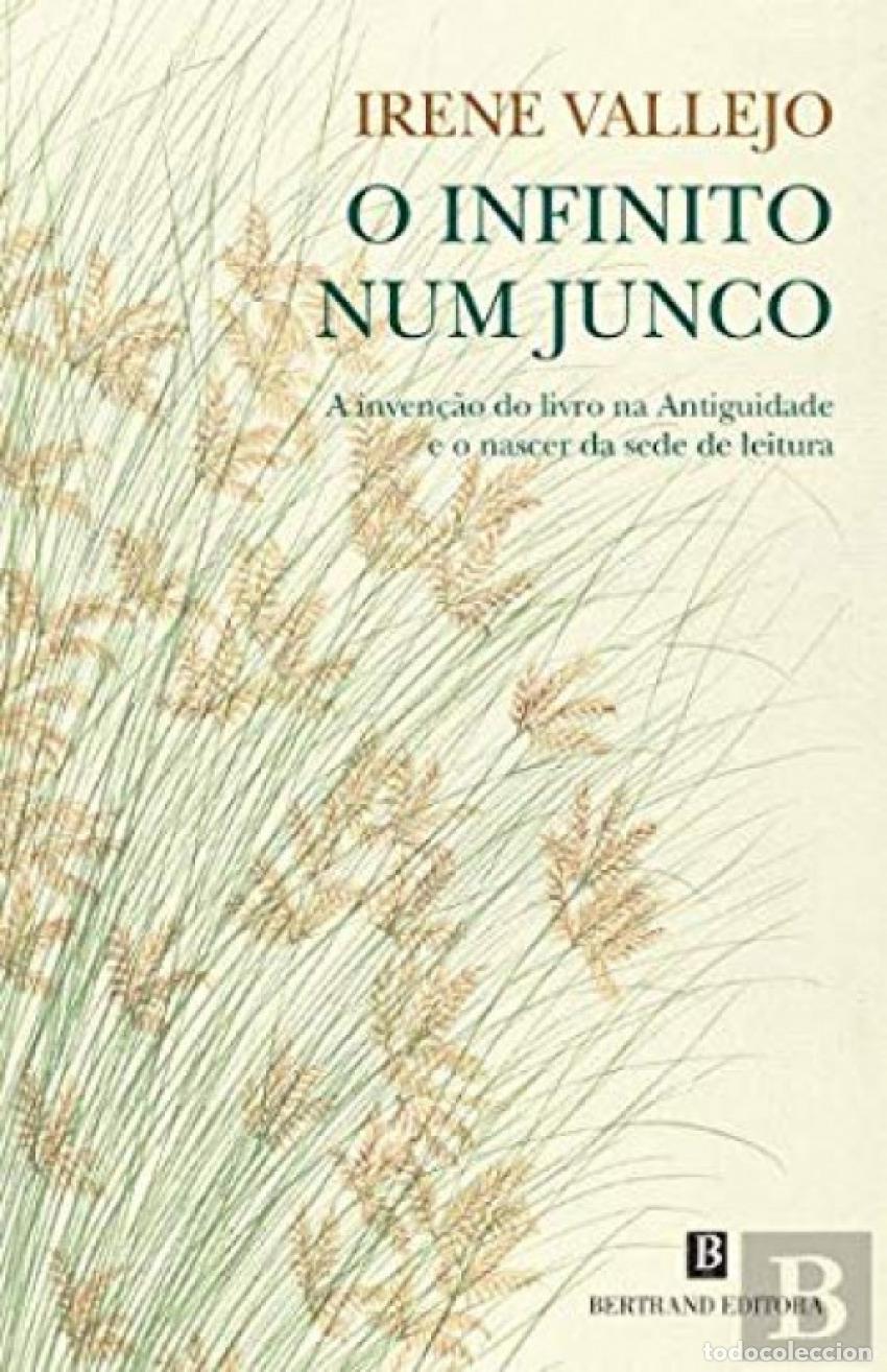 Libros: O INFINITO NUM JUNCO - Vallejo, Irene