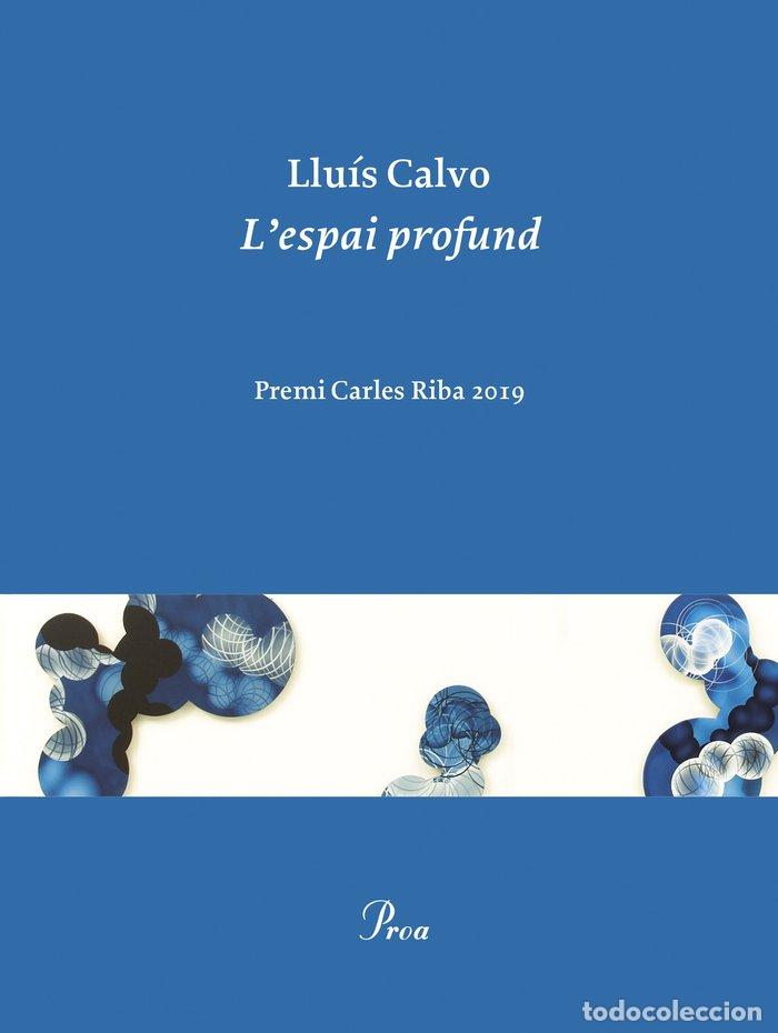 Libri: L'ESPAI PROFUND PREMI CARLES RIBA 2020 - CALVO, LLUIS