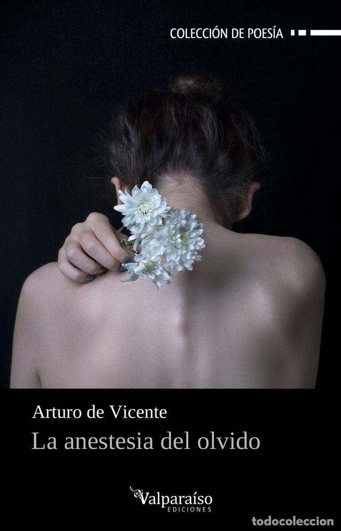 Libros: ANESTESIA DEL OLVIDO,LA - DE VICENTE, ARTURO