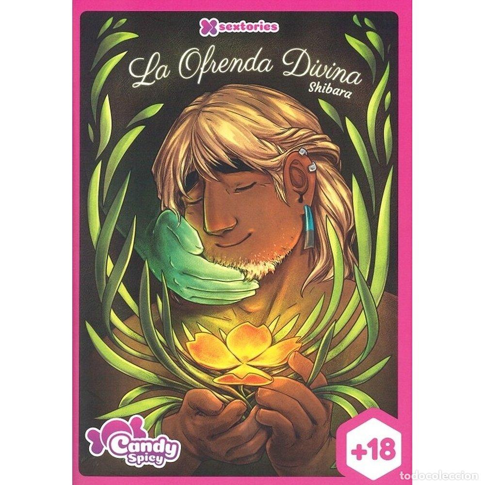 Livres: LA OFRENDA DIVINA - PAOLO, MARIA ANA