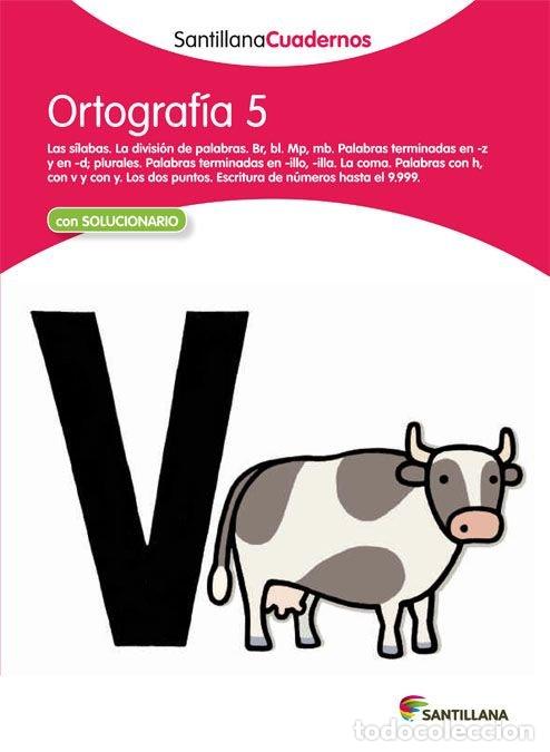 Libros: ORTOGRAFIA 5 EP 12 - AA.VV
