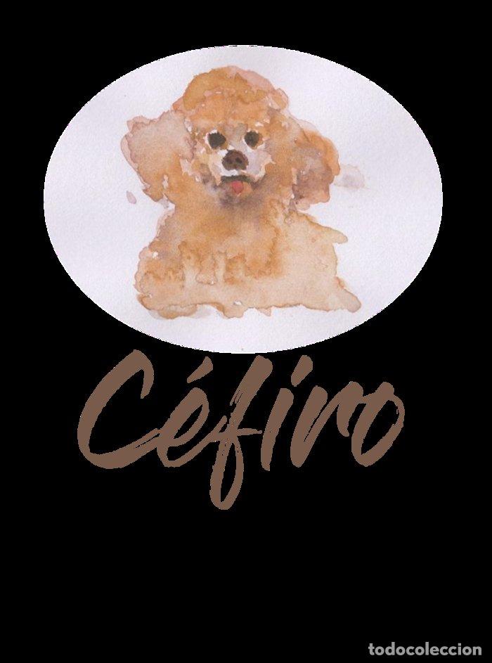 Libros: CEFIRO - RUIZ RODRIGUEZ, EDUARDO ANTONIO