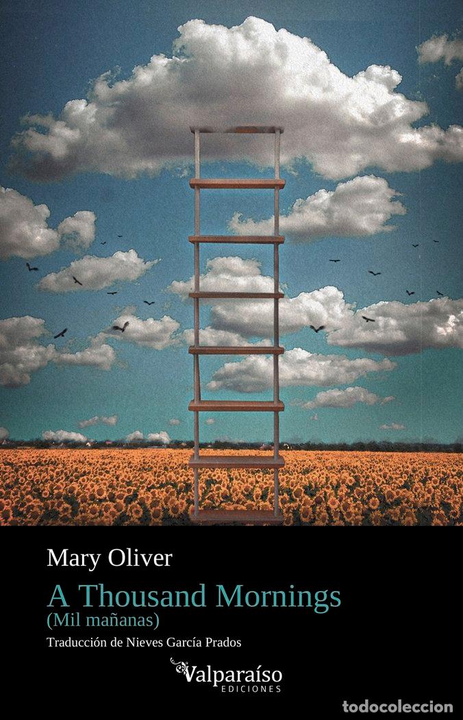 Libros: A THOUSAND MORNINGS - OLIVER, MARY