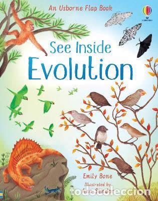 B&uuml;cher: SEE INSIDE EVOLUTION - Bone, Emily