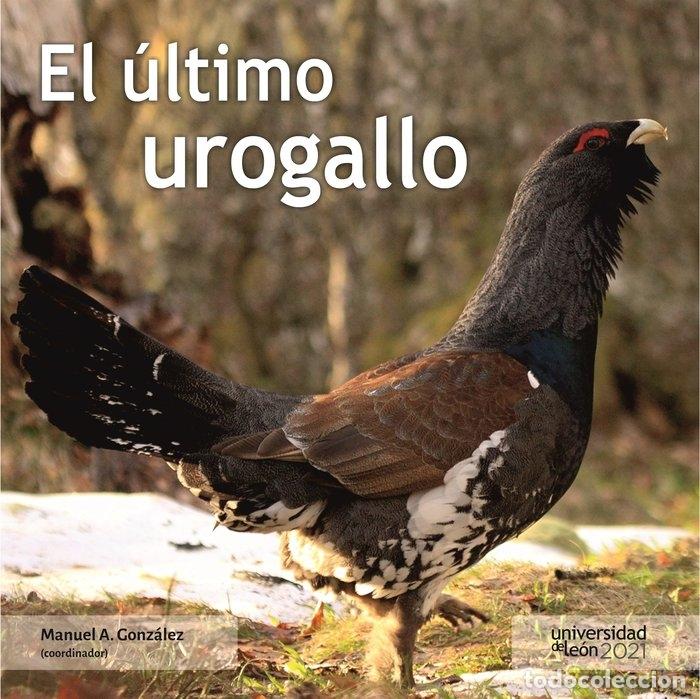 Libri: EL ULTIMO UROGALLO - AA.VV.