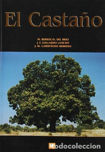 Libri: CASTA&Ntilde;O, EL - BERROCAL DEL BRIO, MANUEL Y OT