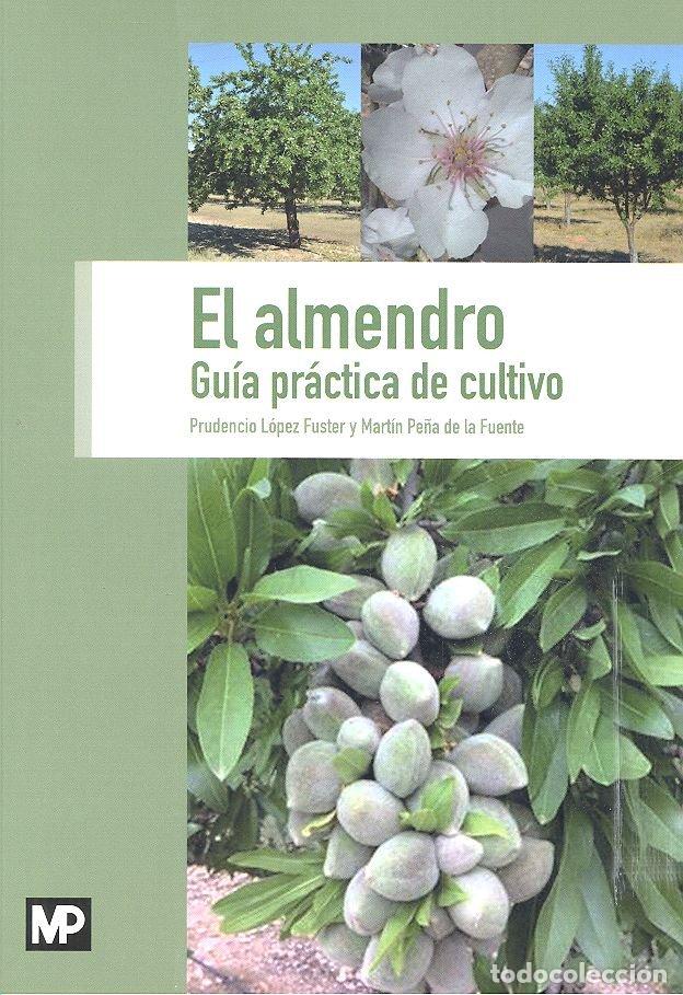 Livres: ALMENDRO. GUIA PRACTICA DE CULTIVO,EL - LOPEZ FUSTER, PRUDENCIO