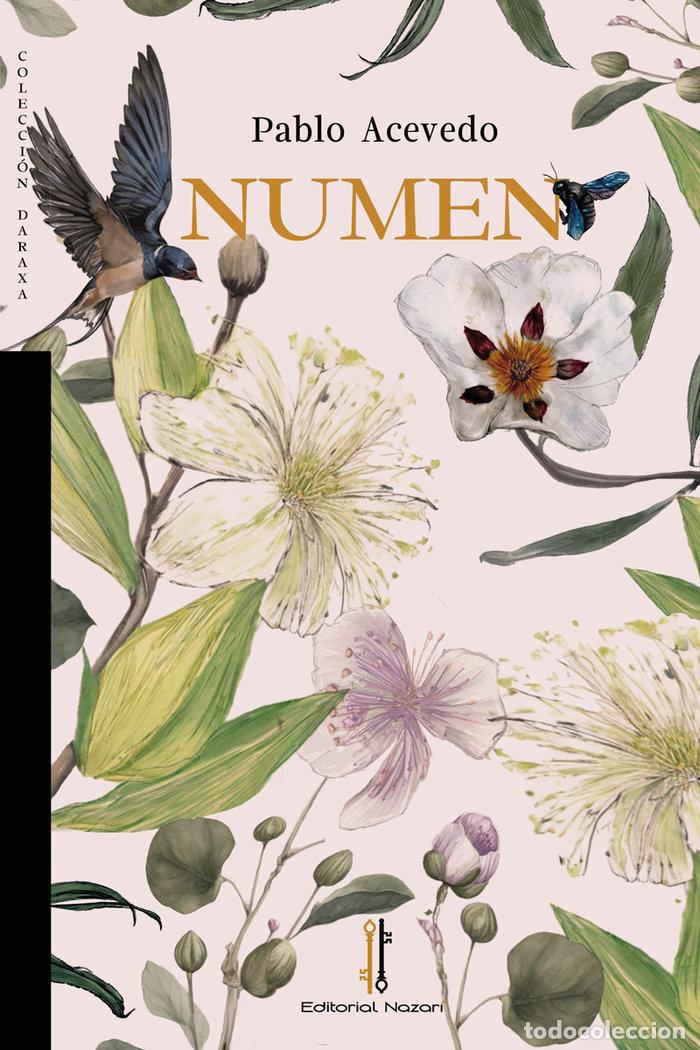 books: NUMEN - ACEVEDO, PABLO