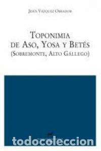 Livres: TOPONIMIA DE ASO YOSA Y BETES SOBREMONTE ALTO GALLEGO - VAZQUEZ OBRADOR, JESUS