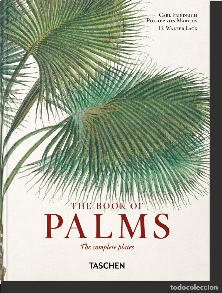 Libri: VON MARTIUS EL LIBRO DE LAS PALMERAS 40TH ED - LACK, H WALTER