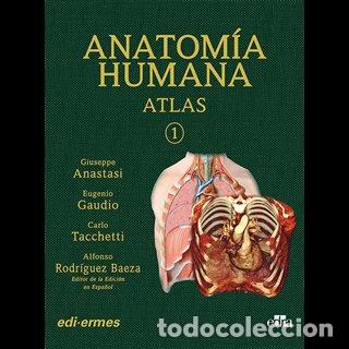 Libri: VOL I ANATOMIA HUMANA ATLAS INTERACTIVO MULTIMEDIA, SEGUN - ANASTASI, GIUSEPPE