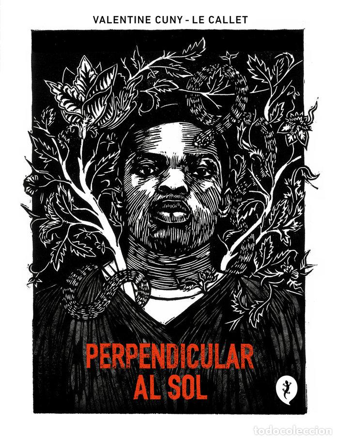 books: PERPENDICULAR AL SOL - VALENTINE CUNY-LE CALLET