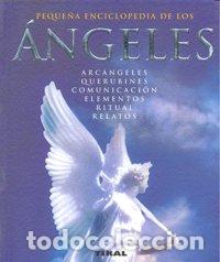 Livres: ANGELES PEQUE&Ntilde;A ENCICLOPEDIA - AA.VV