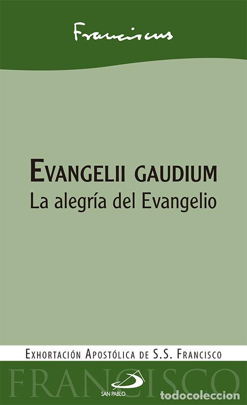 Libros: EVANGELII GAUDIUM LA ALEGR&Iacute;A DEL EVANGELIO - Papa Francisco