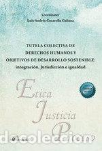 Livros: TUTELA COLECTIVA DE DERECHOS HUMANOS Y OBJETIVOS DE DESARROL - .