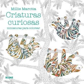 Libri: MINI CRIATURAS CURIOSAS - MAROTTA, MILLIE