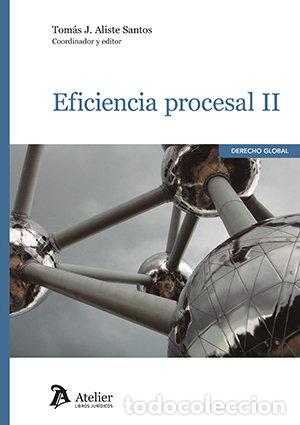 Libros: EFICIENCIA PROCESAL II - TOMAS J ALISTE SANTOS