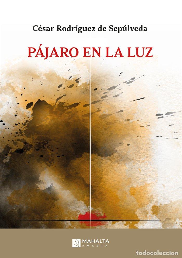 B&uuml;cher: PAJARO EN LA LUZ - RODRIGUEZ DE SEPULVEDA, CESAR