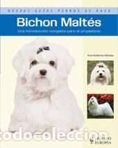 Libros: BICHON MALTES (NUEVAS GUIAS PERROS DE RAZA) - NICHOLAS, ANNA KATHERINE