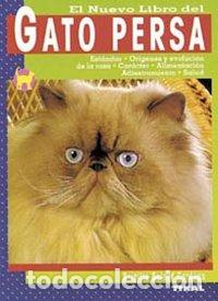 books: GATO PERSA - AA.VV..