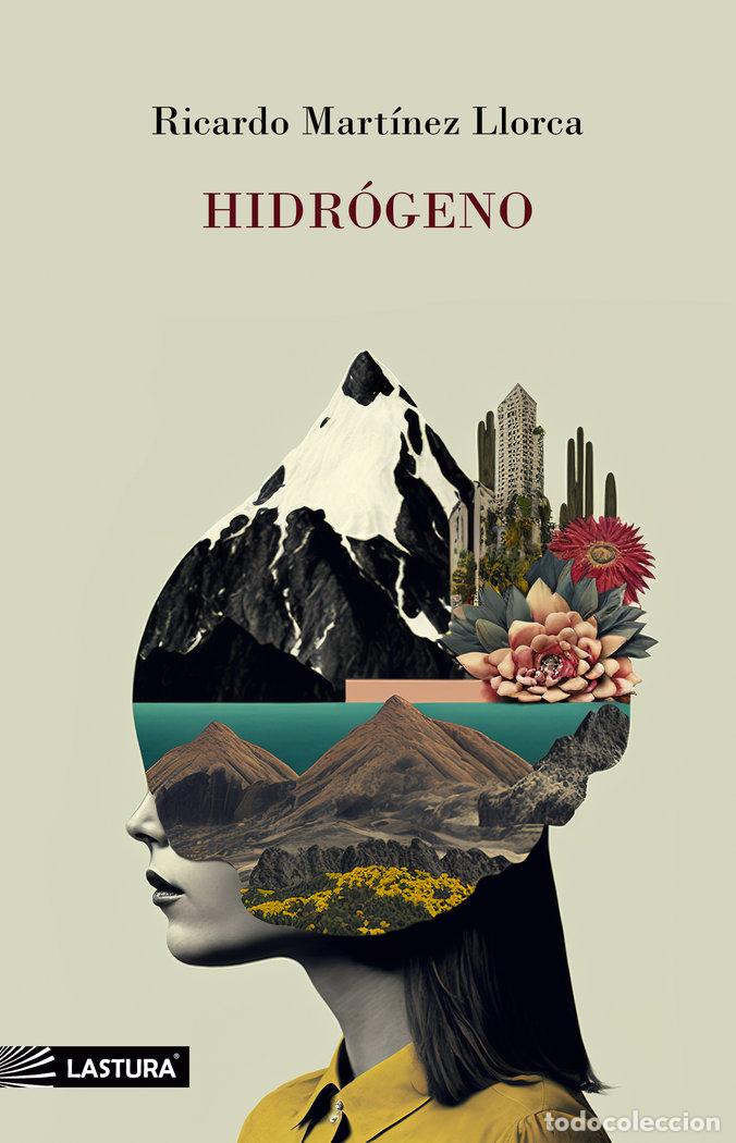 Libros: HIDROGENO - MARTINEZ LLORCA, RICARDO